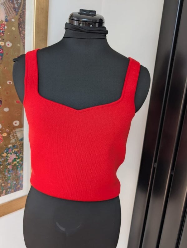 Zara Red 2 Piece Top - Image 3